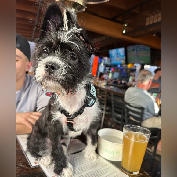 ***LIKE THIS LISTING TO BE NOTIFIED WHEN I GO LIVE**** - Picture 6 of 10